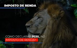 Ir2020: Como Declarar Pgbl No Imposto De Renda? - Contabilidade em Presidente Epitácio - SP | @ellenreginacontadora