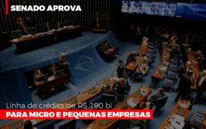 Senado Aprova Linha De Crédito De R$190 Bi Para Micro E Pequenas Empresas - Contabilidade em Presidente Epitácio - SP | @ellenreginacontadora