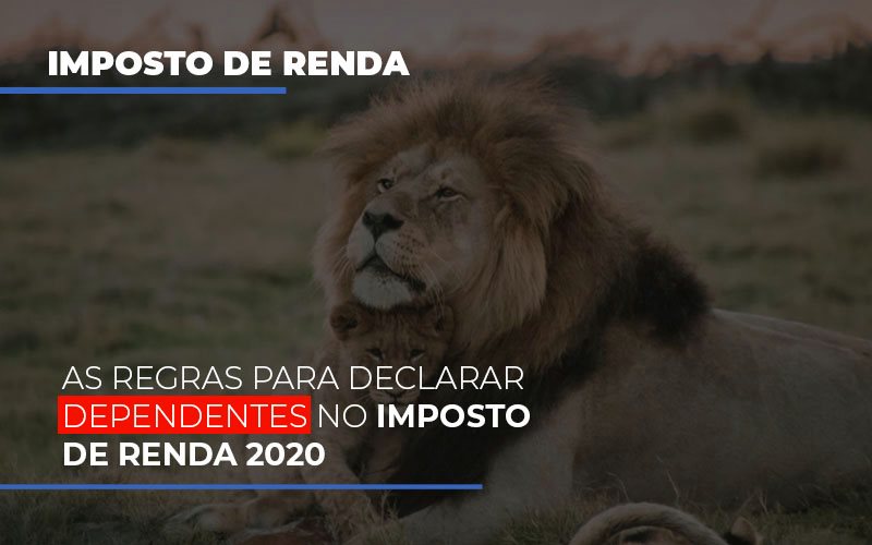 As Regras Para Declarar Dependentes No Imposto De Renda 2020 - Contabilidade em Presidente Epitácio - SP | @ellenreginacontadora