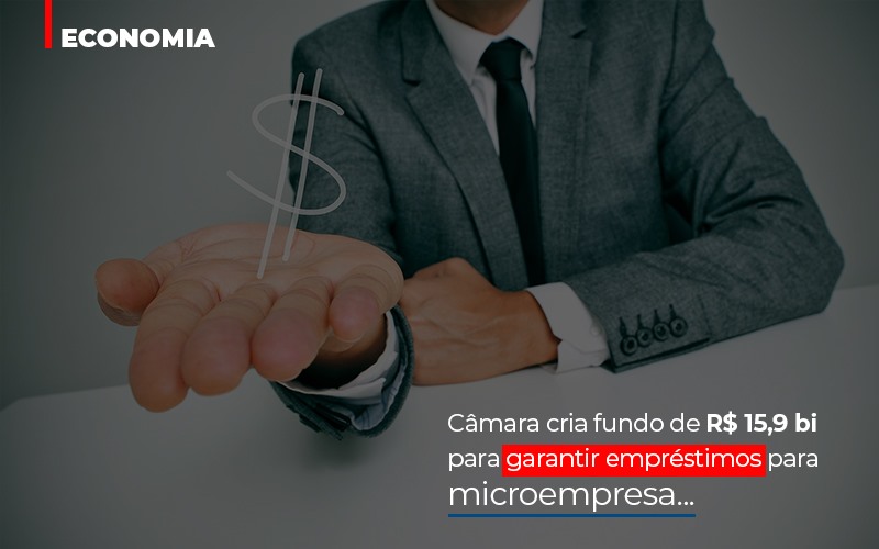 Câmara Cria Fundo De R$ 15,9 Bi Para Garantir Empréstimos Para Microempresa - Contabilidade em Presidente Epitácio - SP | @ellenreginacontadora