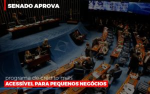 Senado Aprova Programa De Crédito Mais Acessível Para Pequenos Negócios - Contabilidade em Presidente Epitácio - SP | @ellenreginacontadora