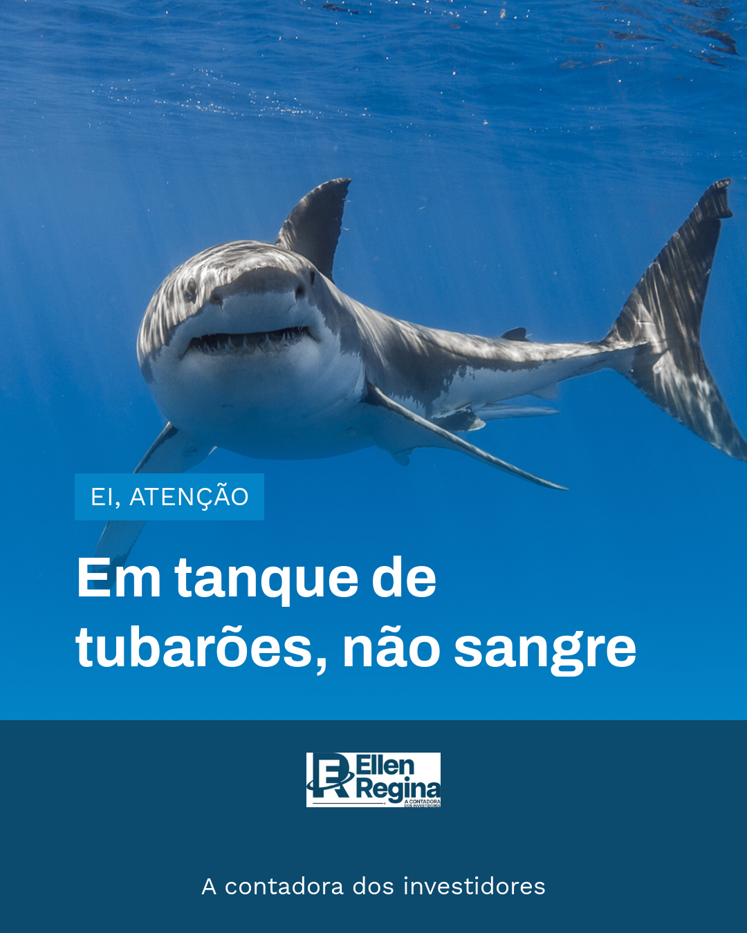 Em Tanque De Tubarões, Não Sangre - Contabilidade em Presidente Epitácio - SP | @ellenreginacontadora