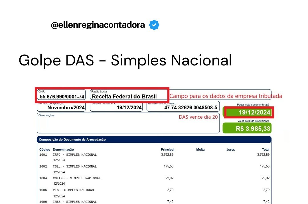 Golpe Das Simples Nacional - Contabilidade em Presidente Epitácio - SP | @ellenreginacontadora