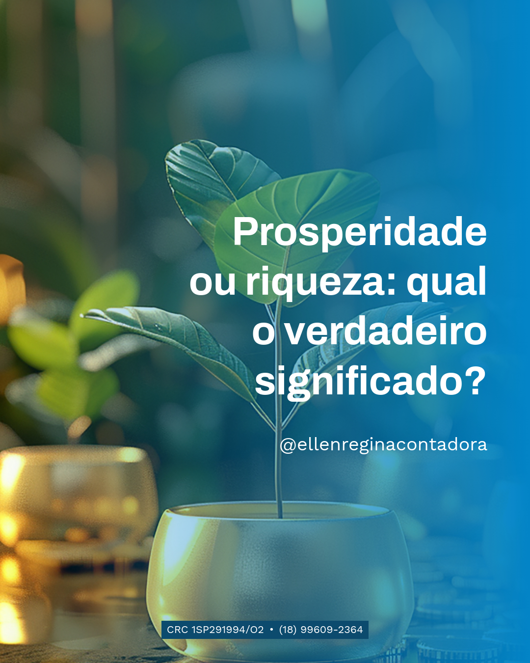 Prosperidade Ou Riqueza Qual O Verdadeiro Significado - Contabilidade em Presidente Epitácio - SP | @ellenreginacontadora