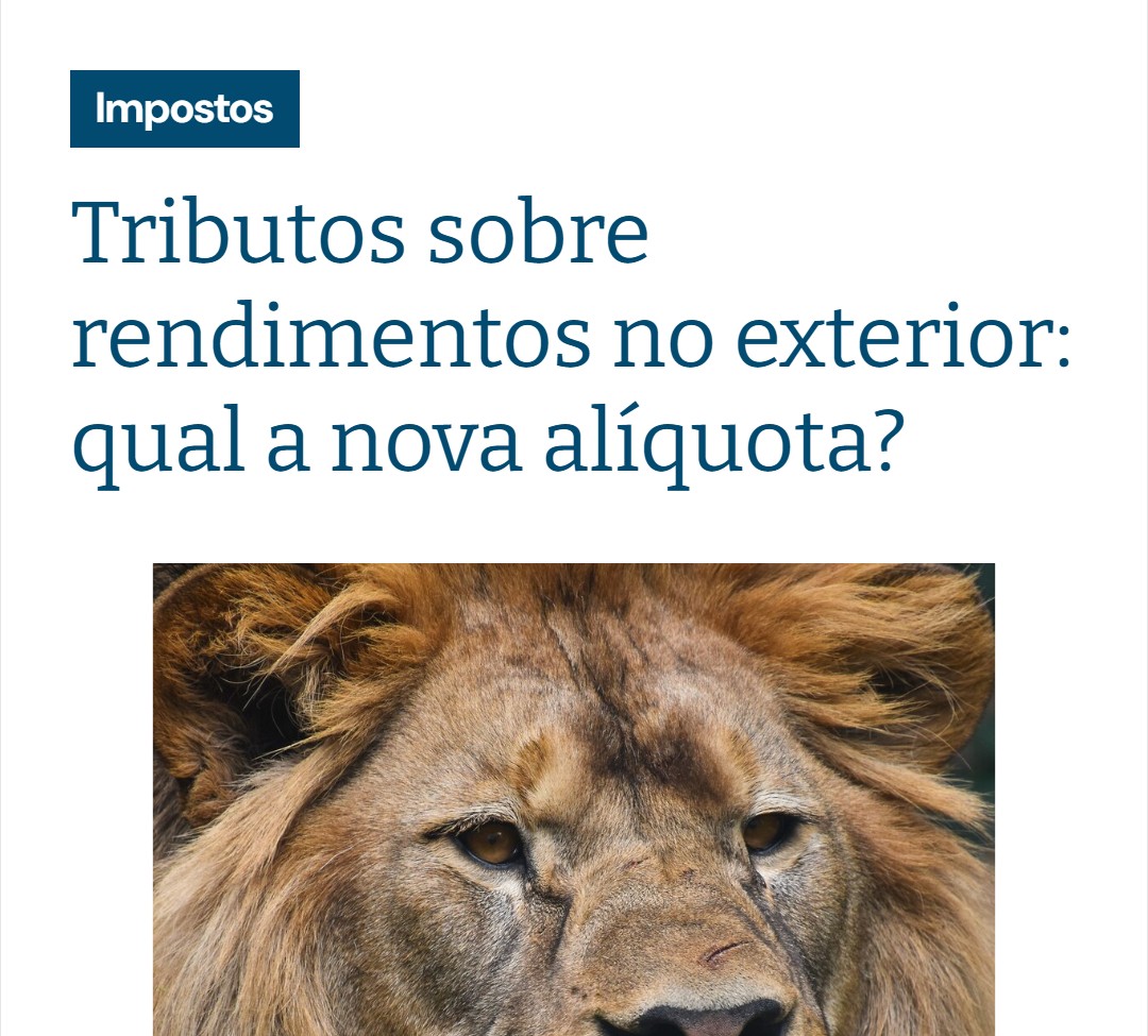 502568190 1266830162113944 4861599392730188205 N - Contabilidade em Presidente Epitácio - SP | @ellenreginacontadora