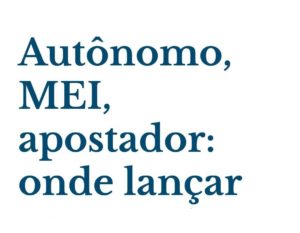 Autônomo, Mei, Apostador Onde Lançar Cada Ganho Copia - Contabilidade em Presidente Epitácio - SP | @ellenreginacontadora